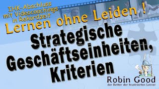 Strategische Geschäftseinheiten Kriterien [upl. by Marley96]