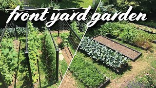 My Front Yard Vegetable Garden Layout  Summer Tour [upl. by Scholz194]