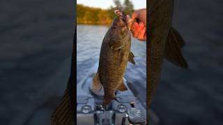 Bass Fishing on the Fly flyfishing kayak [upl. by Lesli400]