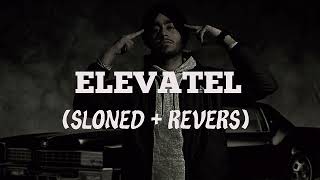 Elevated  Shubh Slowed Reverb  slowed and reverb lofi SHUBHWORLDWIDE [upl. by Aleekahs]