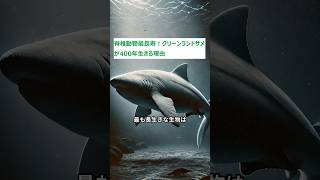 脊椎動物最長寿！グリーンランドサメが400年生きる理由 [upl. by Suiravaj316]