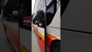 Nus Harapan Jaya full fasilitas trending viralvideo busmania [upl. by Suirradal]