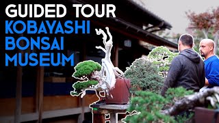 Secrets of ShunkaEn Bonsai Museum – Tokyo’s Legendary Collection [upl. by Avevoneg572]