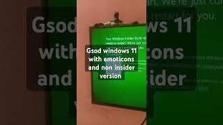 Gsod on windows 11 without emoticons [upl. by Paige]