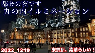 東京駅と、丸の内イルミネーションを、観に行きました。 [upl. by Suilmann]