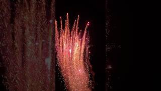 Traumhafter Feuertopf 🔥😱 fireworks feuerwerk pyro [upl. by Hola212]