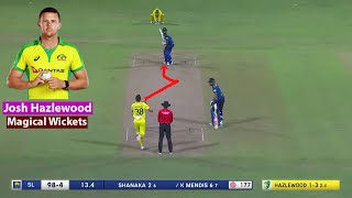 Josh Hazlewood Top 10 Wickets Collection In Cricket 🔥 [upl. by Sessylu961]