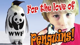 S02E02  Loving Penguins  WWF Adopt a Penguin  Schleich Papo Playmobil Penguins  Beaus World [upl. by Sauveur]