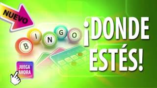 VIDEO 1  GANADOR DE BINGO ONLINE DE LOTERÍA NACIONALV2 [upl. by Suivatnod]