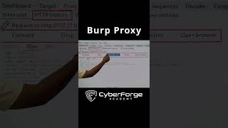 Getting Started with Burp Suite Proxy Web Security Testing Tutorial [upl. by Nisbet]