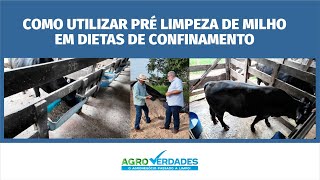 Como utilizar pré limpeza de milho em dietas de confinamento [upl. by Astrix819]