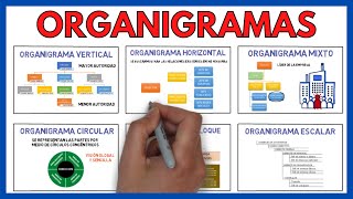 ORGANIGRAMA de una EMPRESA y sus TIPOS 🌃  Economía de la Empresa 146 [upl. by Rollin]