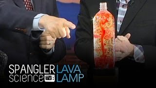 Lava Lamp  Cool Science Experiment [upl. by Mozza]