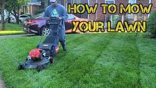 How to MOW TRIM EDGE and Blow your grass [upl. by Abrahams]