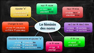 Le féminin des noms [upl. by Renault]