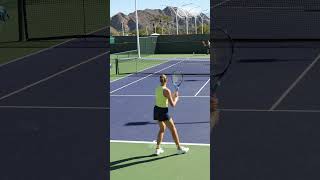 Karolina Pliskova  Forehand amp Backhand back view [upl. by Ardrey775]