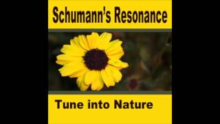 1 hr Schumanns Resonance Binaural Beats Session  Pure [upl. by Caia495]