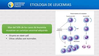 DH Generalidades y clasificación de neoplasias hematológicas [upl. by Asyle352]