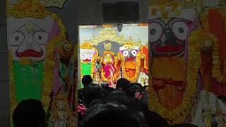 Sabara Srikhetra todayaratioflordjagannath [upl. by Analram]