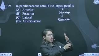 In papilionaceous corolla the largest petal is [upl. by Gnurt]