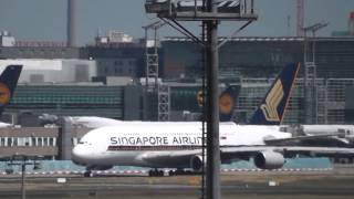 Planespotting at JFK Airport and Frankfurt [upl. by Bluma279]