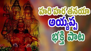 Latest Ayyappa Swamy Songs 2024  Ayyappa Swamy Best Songs  Lord Ayyappa Swamy Bhajanalu ayyappa [upl. by Ruthy795]