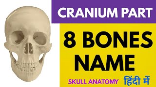 8 Cranium bones name skull anatomy  Frontal bone Temporal bone [upl. by Hellman798]