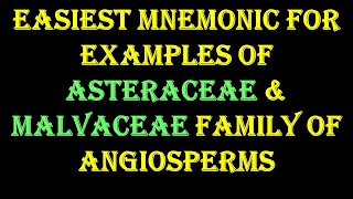 Mnemonic to Remember Examples of Asteraceae amp Malvaceae family of Angiosperm [upl. by Kennett]