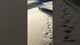 Great Sand Dunes National Park ☀️ colorado nature nationalpark [upl. by Itra]