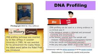 132 Gene Therapy and DNA Profiling [upl. by Atteinotna]