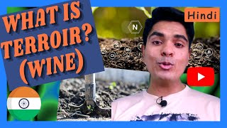 What is TERROIR │What is Wine terroir│ [upl. by Daas]