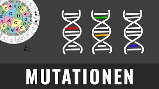 Mutationsarten  Genmutation Genommutation Chromosomenmutation  Biologie kurz erklärt [upl. by Elocn]