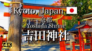 Exploring Yoshida Shrine and Mount Yoshida in Kyoto Japan 4K [upl. by Kursh]