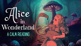 Reading of Alice in Wonderland  full audiobook  Story Reading for Sleep  Relaxing Reading [upl. by Renita]