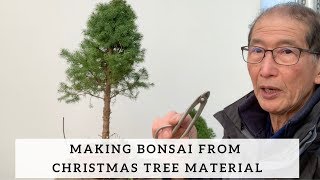 Making Bonsai from Christmas Tree Material [upl. by Marja]