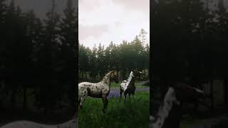 RDR2 • Spotted Tricolor Norfolk Roadster amp Leopard Blanket Appaloosa Horses • Red Dead Redemption 2 [upl. by Notnil]