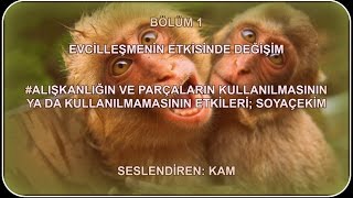 C Darwin  Türlerin Kökeni SOYAÇEKİM [upl. by Scherman401]