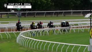 Flemington Jump Outs 15 Nov 2024 Jump Out 5 [upl. by Hollingsworth218]