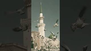 Old Pictures of Roza e Rasool ﷺ  rozaerasoolﷺ masjidnabawi ssbukhariofficial [upl. by Rayburn]