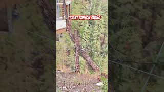 Giant canyon swing [upl. by Debby]