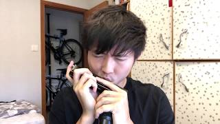 Polyphia  Champagne Harmonica Cy Leo [upl. by Gundry]