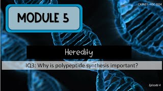 Module 5 Episode 4 Polypeptide Synthesis and Proteins [upl. by Anizor]