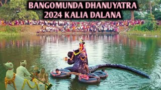 Bangomunda Dhanu yatra2024Bangomunda Kia bandh re Kalia dalanaAsun dekhmaAji krusha Kalia dalana😲 [upl. by Toomin597]