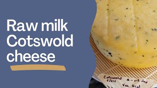 How to make a Cotswold cheese  Raw Milk Cheese  Clabber Cultured [upl. by Orlena292]