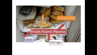 FFP Fresh Frozen Plasma  Introduction use and storage [upl. by Ohl]