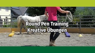 Round Pen Training Eschbach Horsemanship kreative Übungen [upl. by Mateo]