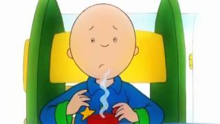 Caillou  DvD8 Español  Dibujos Infantiles [upl. by Lacy]