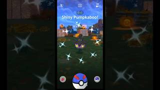 Would you rather SHINY Scraggy or Pumpkaboo in PokemonGo [upl. by Esile]