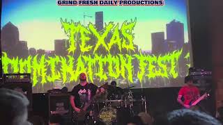 GUINEAPIG  Texas Domination Fest 2024 [upl. by Galan]