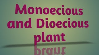 The Flower Monoecious and Dioecious plantsPlant physiology [upl. by Chance]